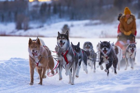 Valentine's Day in Jackson Hole