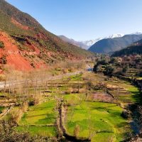 Cultural Tours