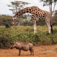 Luxury Tours