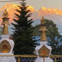 Cultural Tours