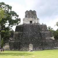 Bus & Minivan Tours