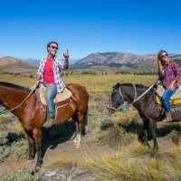 Luxury Tours