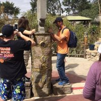 Half-day Tours