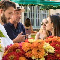 Historical & Heritage Tours