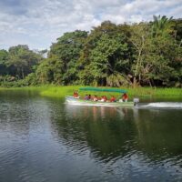 Half-day Tours