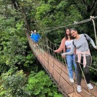 Bus & Minivan Tours