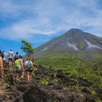 Kid Friendly Tours & Activities