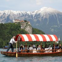 Private & Custom Tours