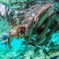 Ports of Call Tours