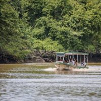 Cruises, Sailing & Water Tours