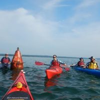 Water Sports