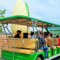 Trolley Tours