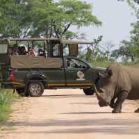 4WD, ATV & Off-Road Tours