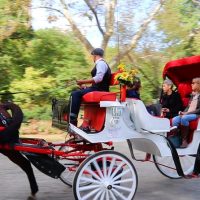 Romantic Tours