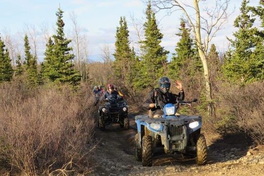 President's Day in Denali National Park