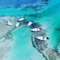 Shore Excursions