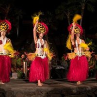 Shows, Concerts & Sports
