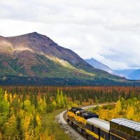 Rail Services