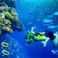Holiday & Seasonal Tours