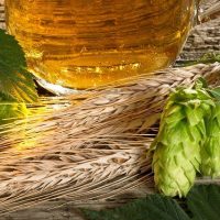 Beer & Brewery Tours