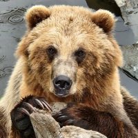 Luxury Tours