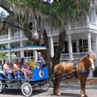 Cultural & Theme Tours