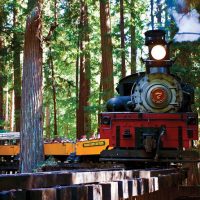 Full-day Tours