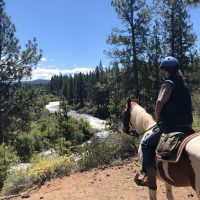 Horseback Riding