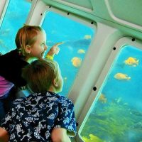 Submarine Tours
