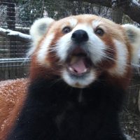 Zoo Tickets & Passes