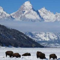 Holiday & Seasonal Tours
