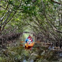 Sustainable Tours
