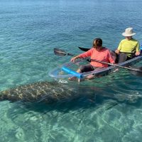 Boat Tours