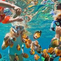 Cruises, Sailing & Water Tours