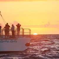 Cruises, Sailing & Water Tours