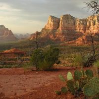 Cultural & Theme Tours