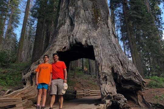 MLK Day in Yosemite National Park