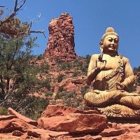 Bus & Minivan Tours
