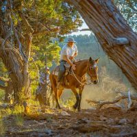 Holiday & Seasonal Tours
