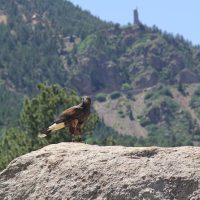 Walking Tours