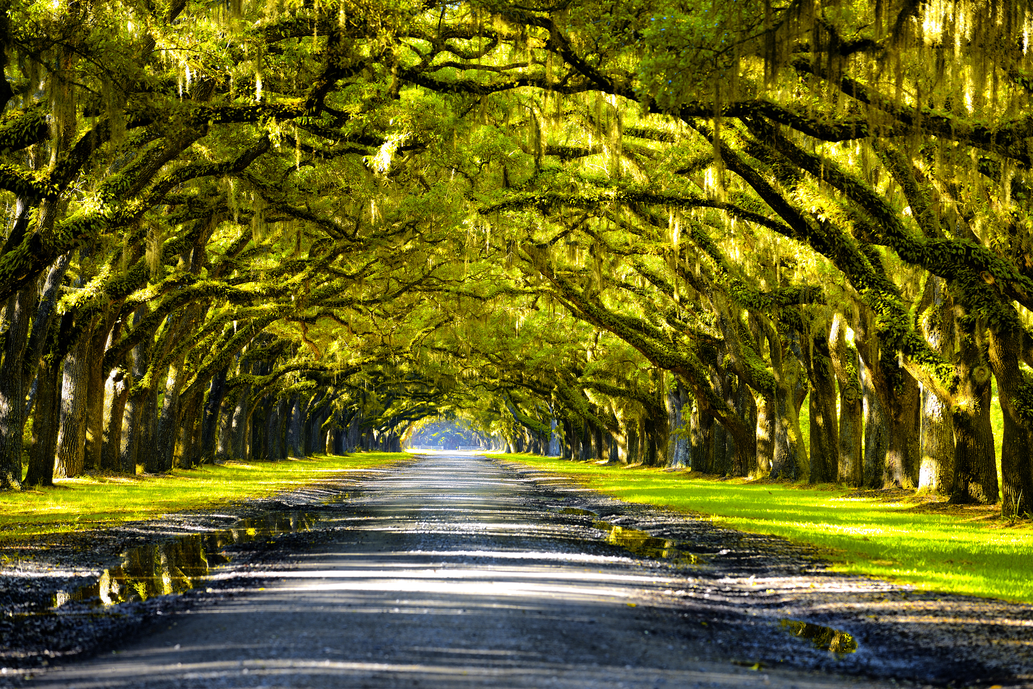 New Orleans’ Most Famous Plantation Tours (Updated October 2026)