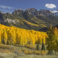 Bus & Minivan Tours