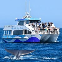 Luxury Tours