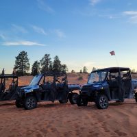 Private Sightseeing Tours