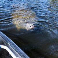 Kayaking & Canoeing