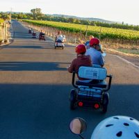 Walking & Biking Tours