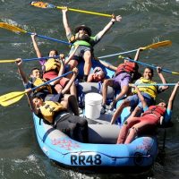 Cruises, Sailing & Water Tours