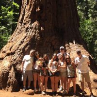 Half-day Tours