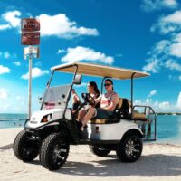 Kid Friendly Tours & Activities