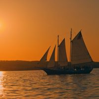 Cruises, Sailing & Water Tours